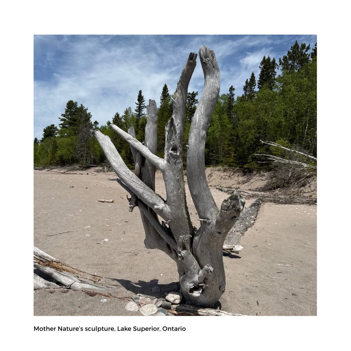 Retreat 2026 Mother Natures sculpture